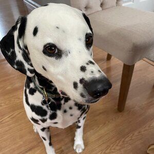 Meet your Posher, Christopher